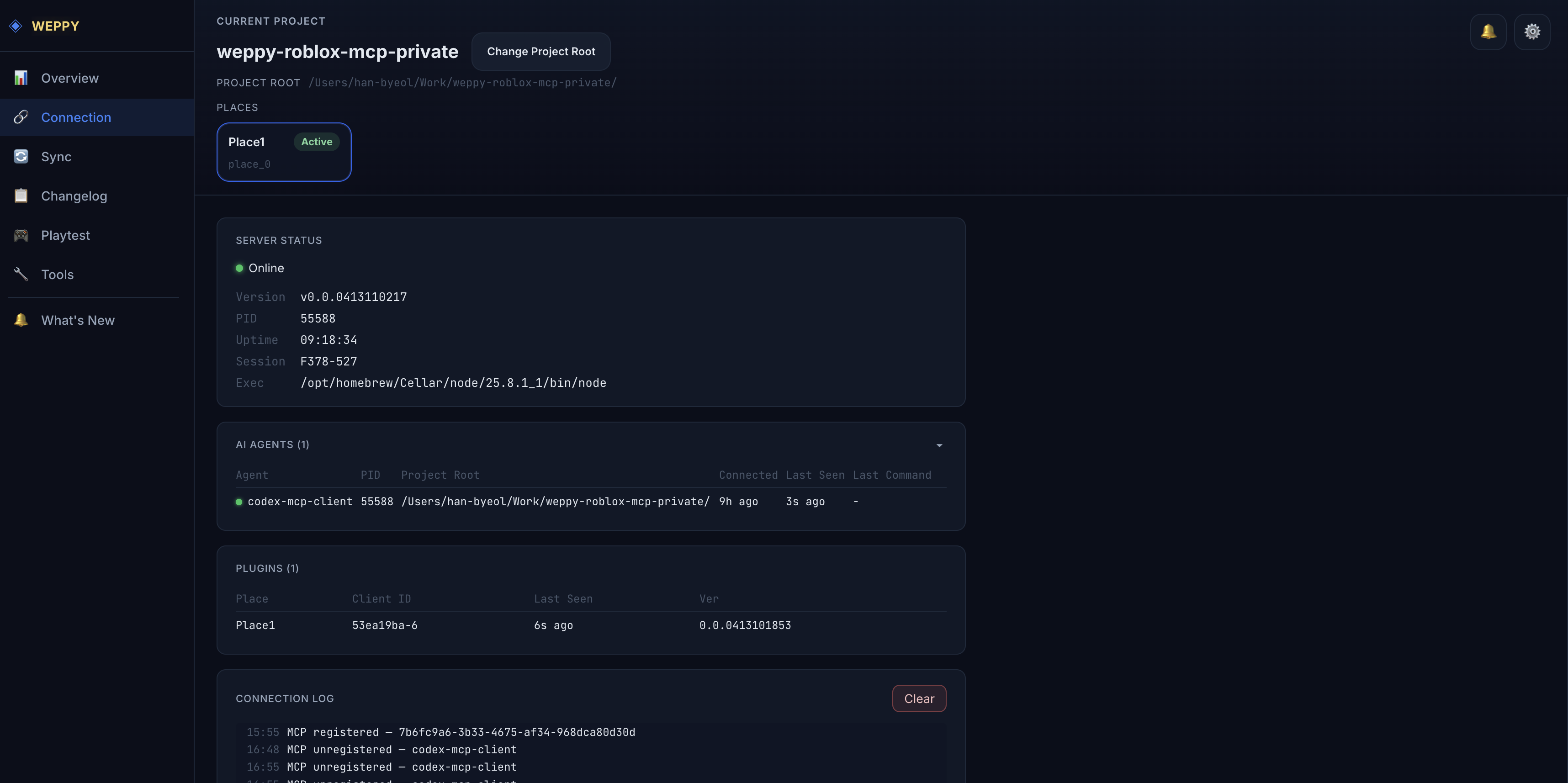Verbindungsseite — Serverstatus, KI-Agenten und Plugin-Verbindungsinformationen